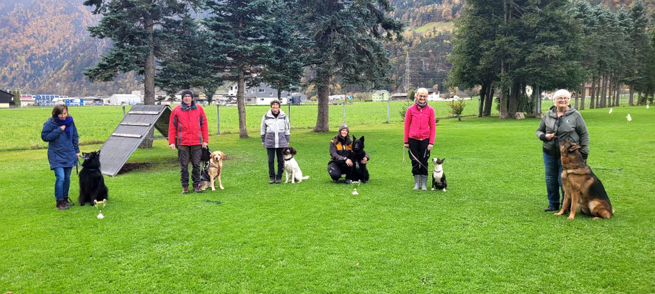 Alle Urner beteiligten und Wanderpreisgewinnerinnen. Von links nach rechts: Stefanie Wick mit Wally, Edy Kempf mit Nelly, Erica Wyrsch mit Joya, Rebekka Kettiger mit Narek, Monica Lussmann mit Daisy (Hope), Marlène Petrig mit Harvey