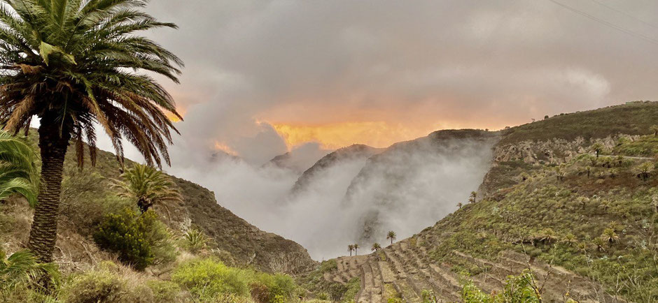 Unbelievable scenery: palm trees, mountains, foggy clouds and sunset colours on La Gomera
