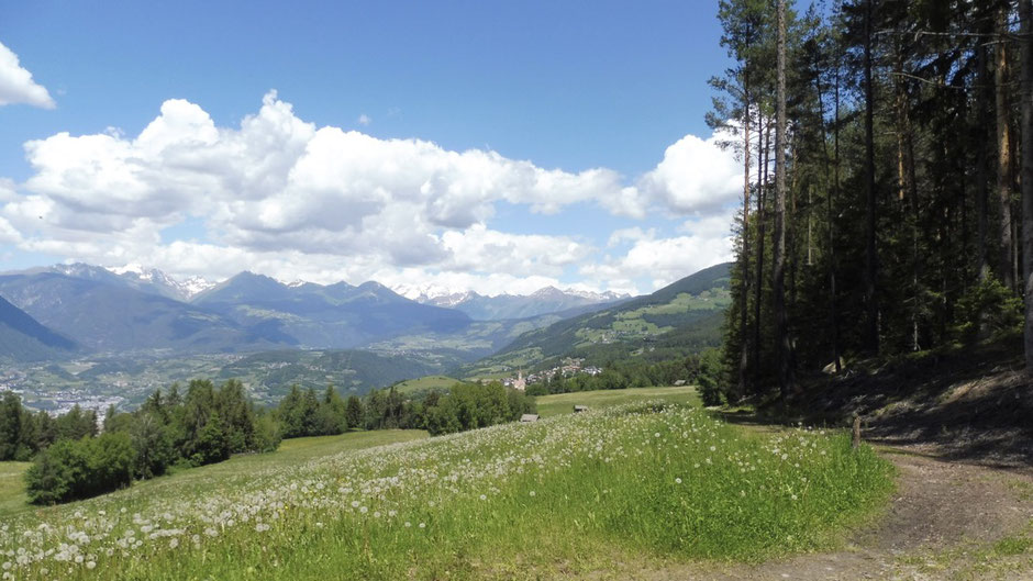 Surrounded by nature when going for a stroll from home