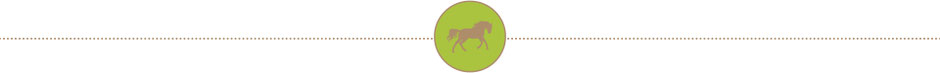 Active Horse Pferde Boxenstall Systeme Pferde Boxenstall Boxenfütterung Webstopper