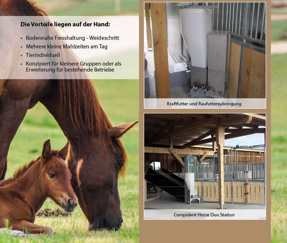 Active Horse Pferdestallsysteme Produkte-Kompetenzen Bewegungsstall Compident Horse Duo Station 2