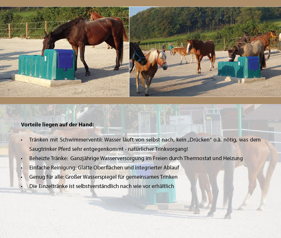 Active Horse Pferdestallsysteme Produkte-Kompetenzen Bewegungsstall Tränken