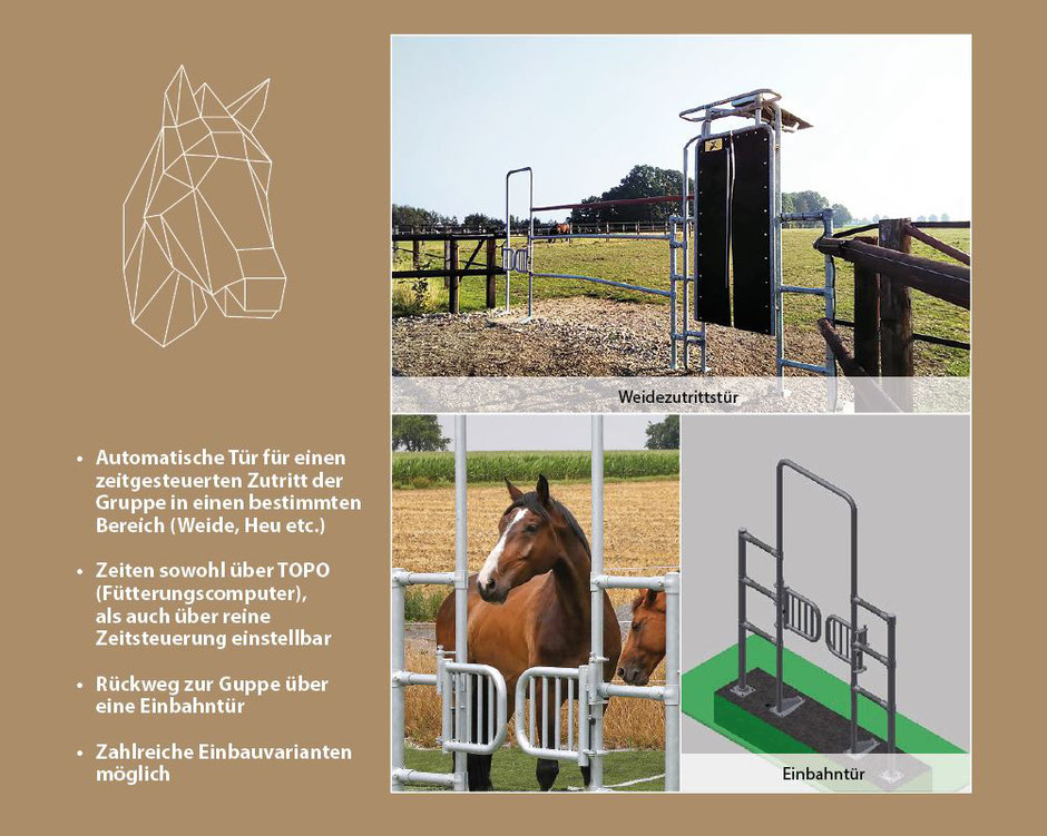 Active Horse Pferdestallsysteme Produkte-Kompetenzen Bewegungsstall Weidezutrittstür