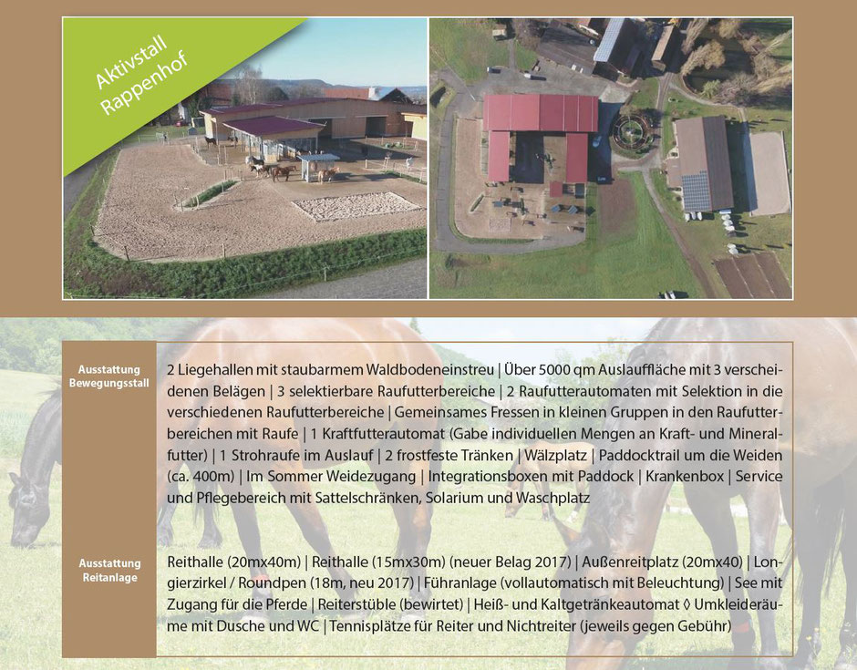Active Horse Pferdestallsysteme Referenzen Bewegungsstall Rappenhof in Deutschland