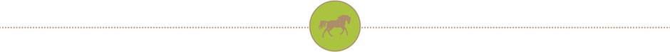 Active Horse Pferdestallsysteme Produkte-Kompetenzen Bewegungsstall Compident Horse Duo Station Webstopper