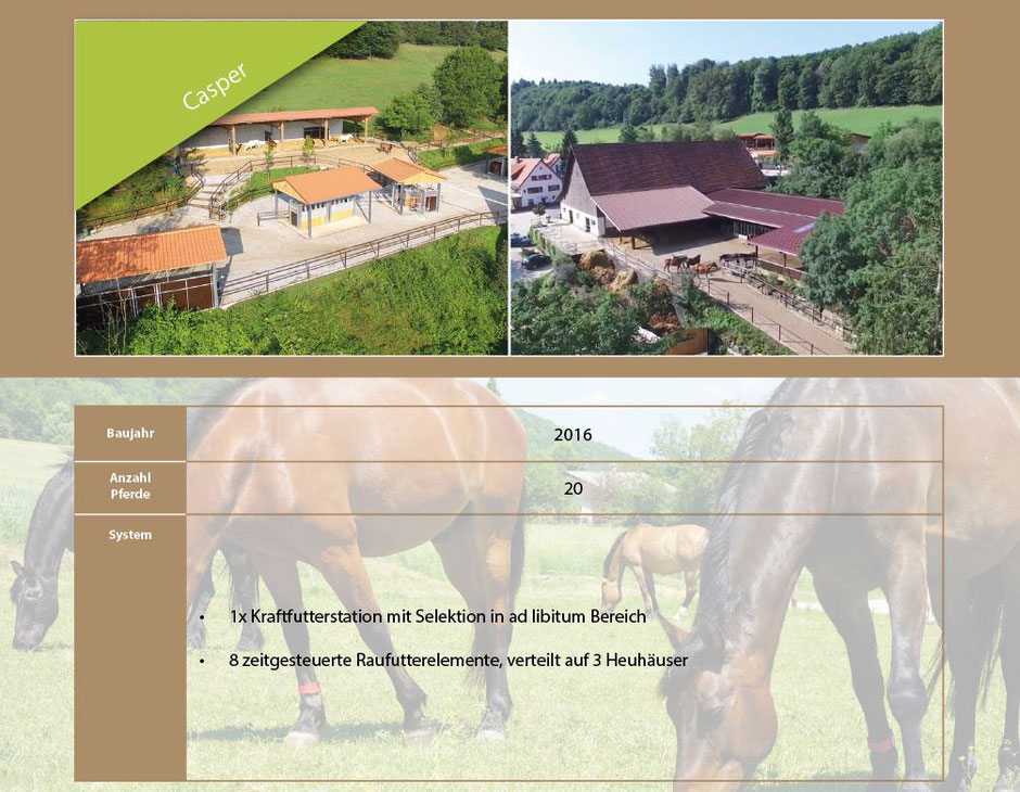 Active Horse Pferdestallsysteme Referenzen Bewegungsstall Familie Casper - Gestüt Birkhof in Deutschland