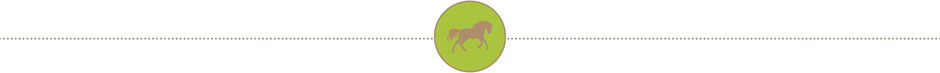 Active Horse stable systems - Planning Expertise - Webstopper