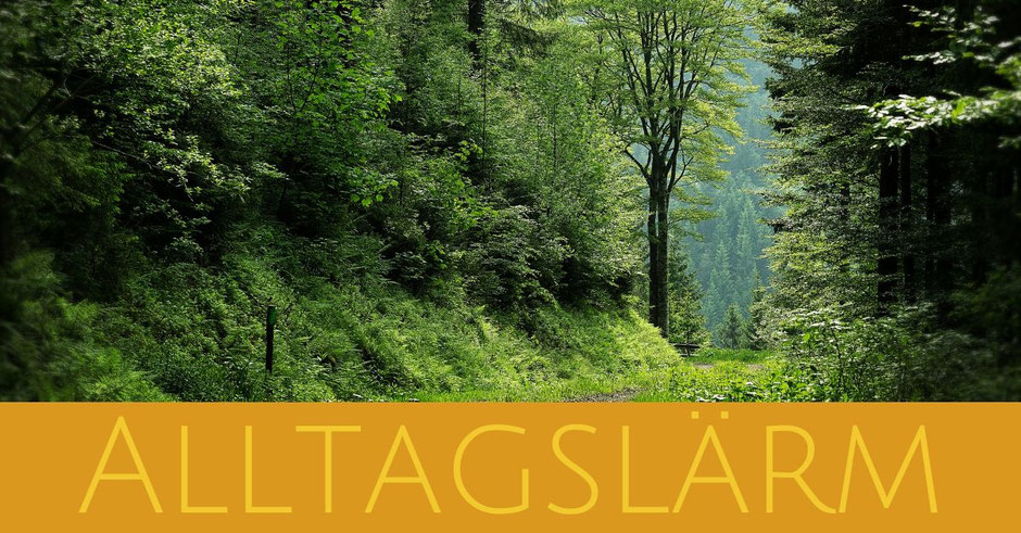 Foto Wald