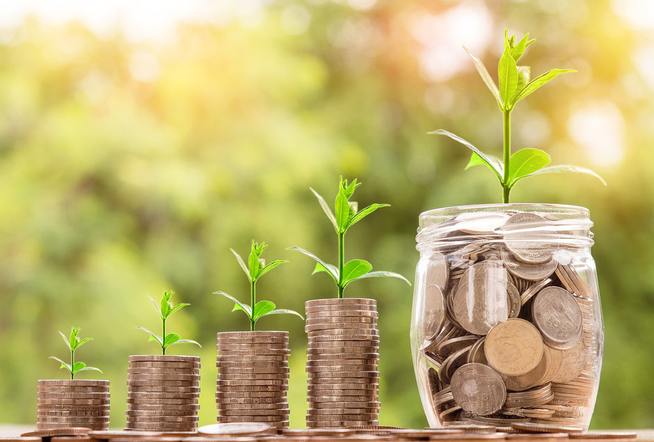 coins stacks and coins in a jar with plants growing on top