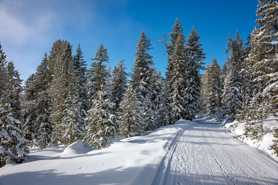 ©Niederhornbahn