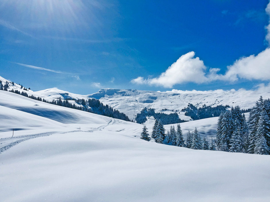 ©Faszi-Nation-Schweiz