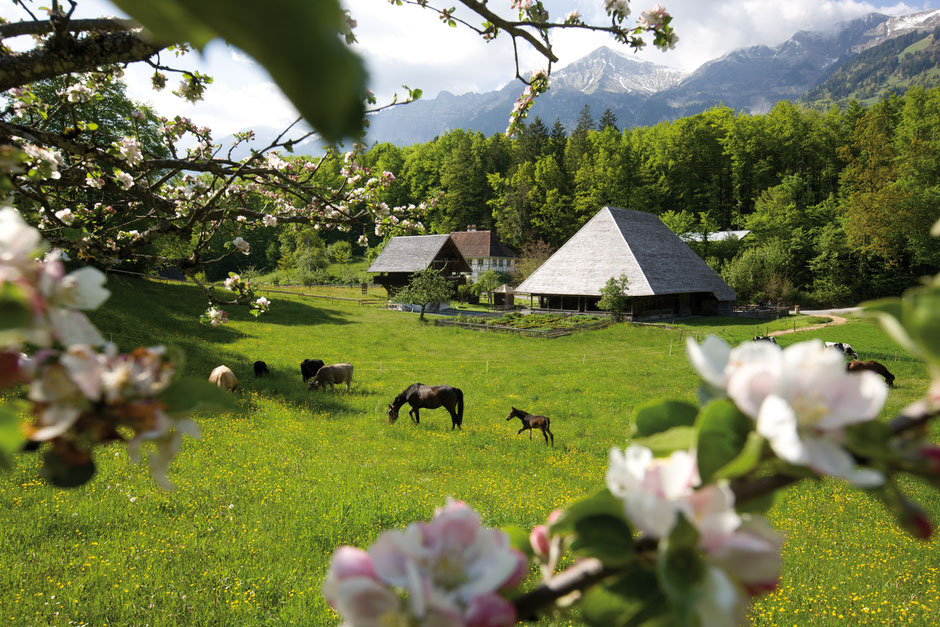 ©Freilichtmuseum Ballenberg