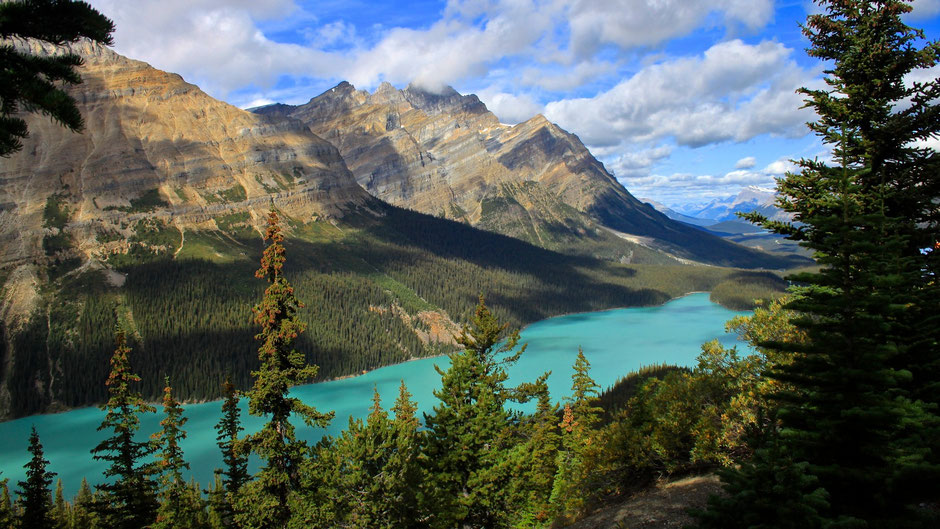 Peyto Lake, Banff Nationalpark 