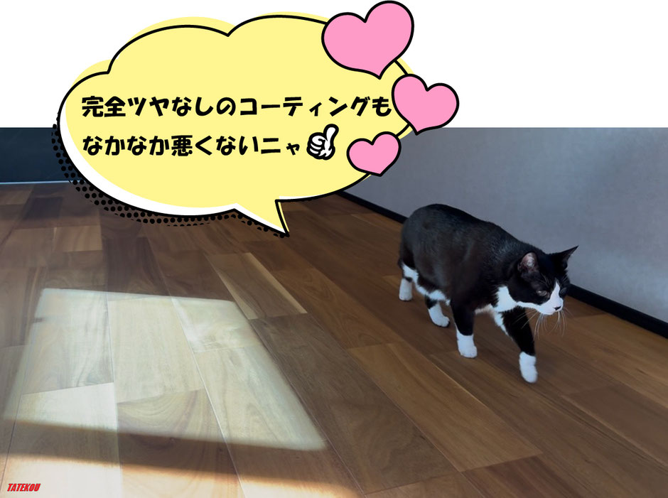 ペット対応フロアコーティング