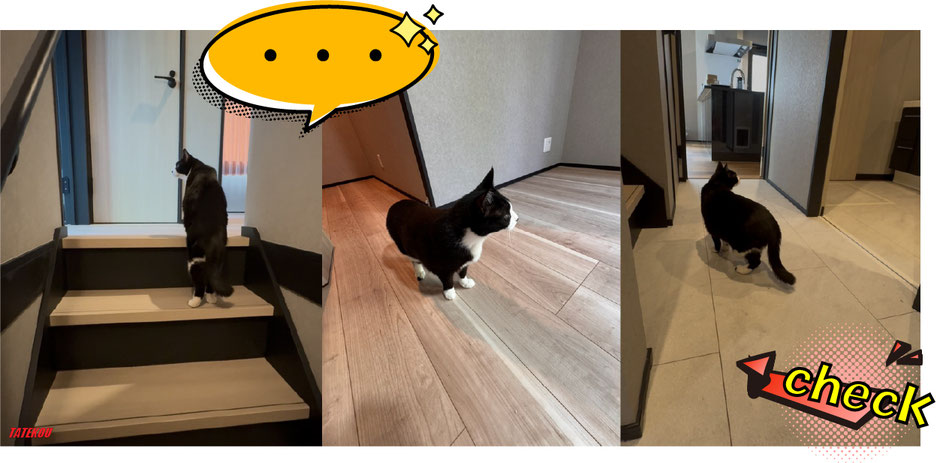 猫のためのフロアコーティング