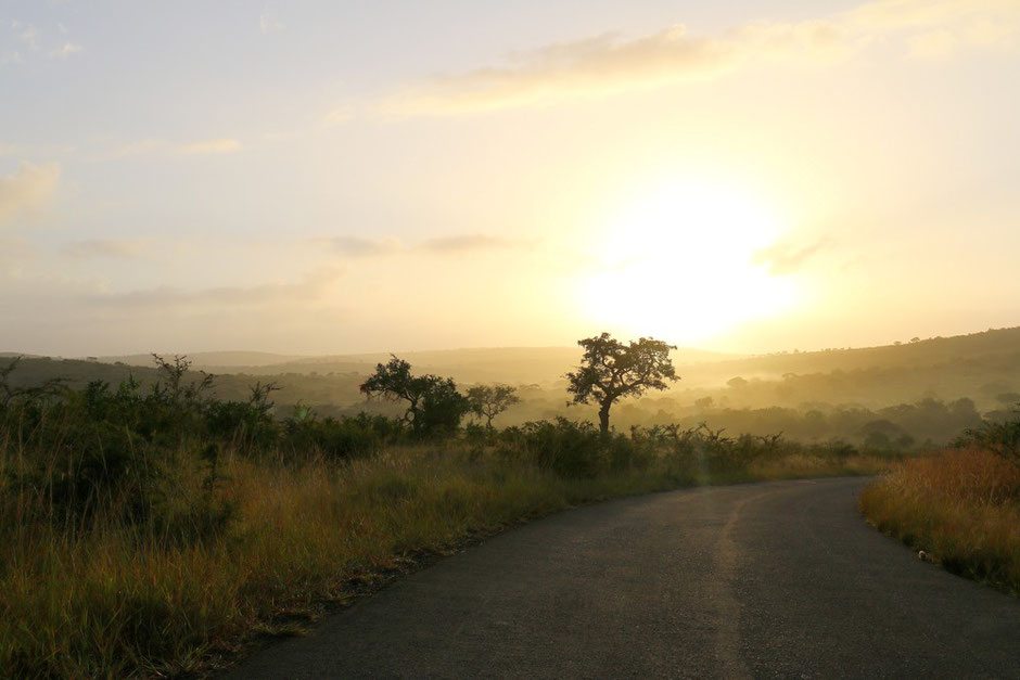 Hluhluwe - Imfolozi Park