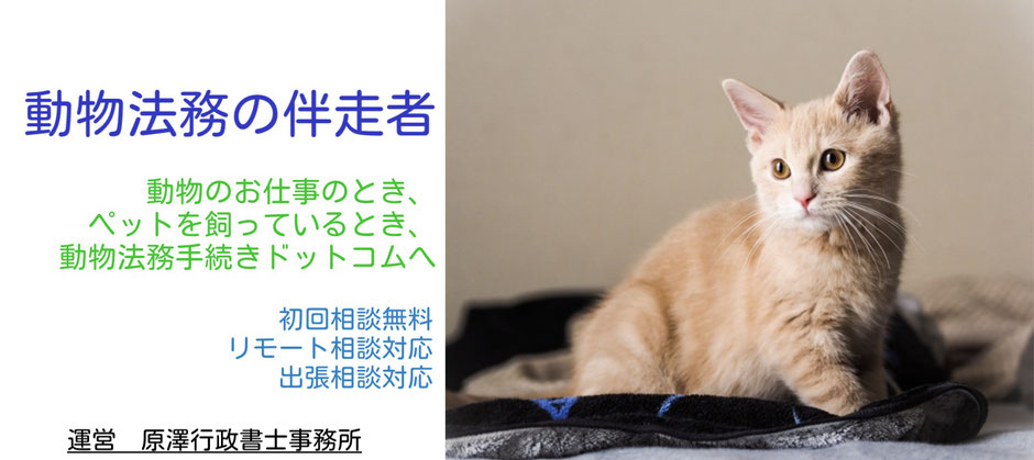 動物法務の伴走者　動物のお仕事のとき、ペットを飼っているとき、動物法務手続きドットコムへ　初回相談無料　リモート相談対応　出張相談対応　運営：原澤行政書士事務所