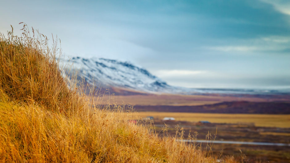 Landschaft mit Berg in Island. Bild von Maciek Sulkowski auf Unsplash.