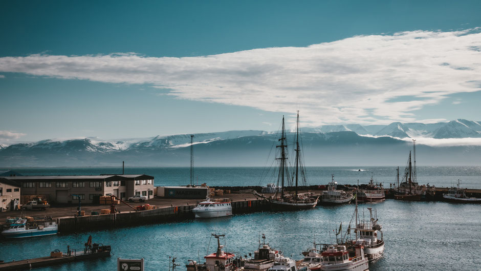 Schiffe im Hafen auf Island. Bild von Hari Nandakumar auf Unsplash.