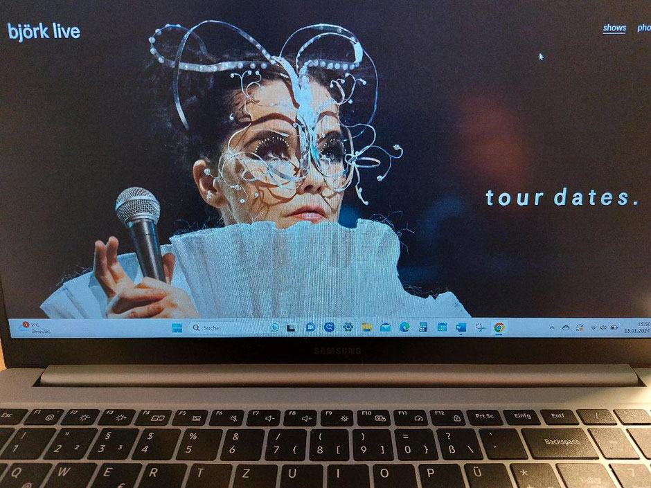 Website zeigt die Sängerin und Songwriterin Björk. Bild von DIG.