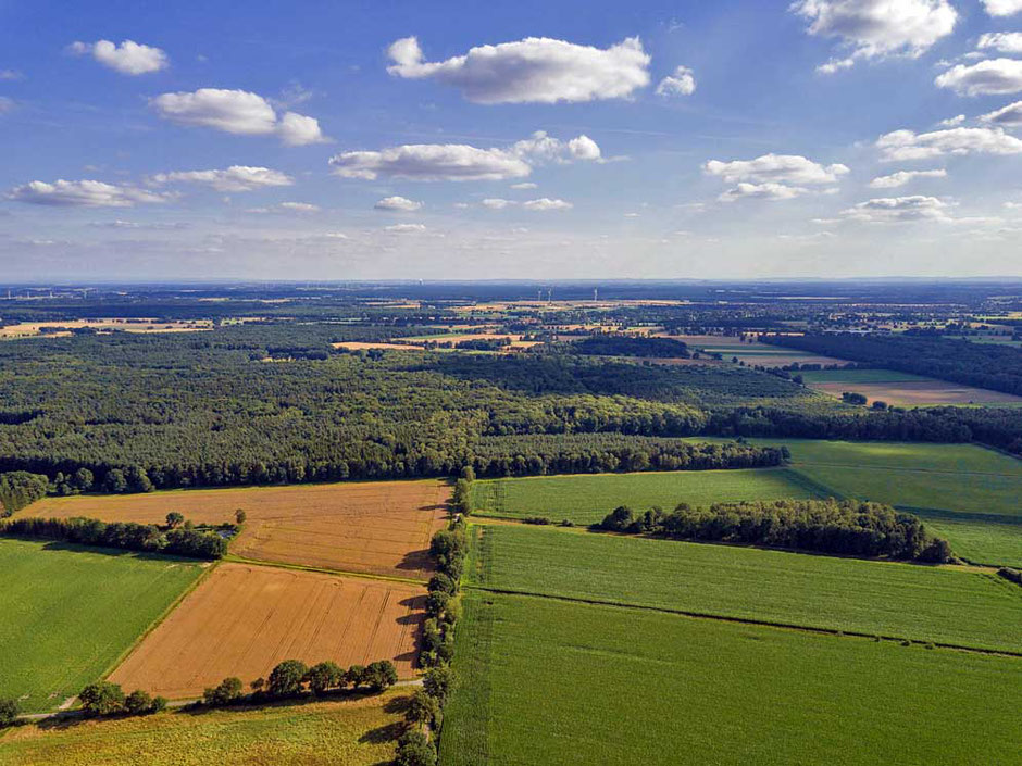 Nach Süden gerichtet erscheint der Brand am rechten Bildrand noch als auslaufendes Waldstück.