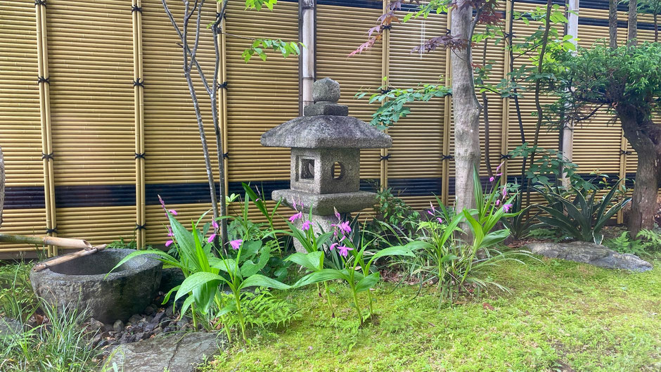 庭