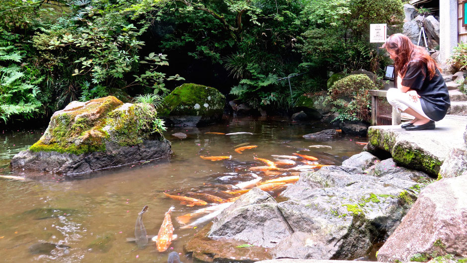 富士屋ホテル　日本庭園