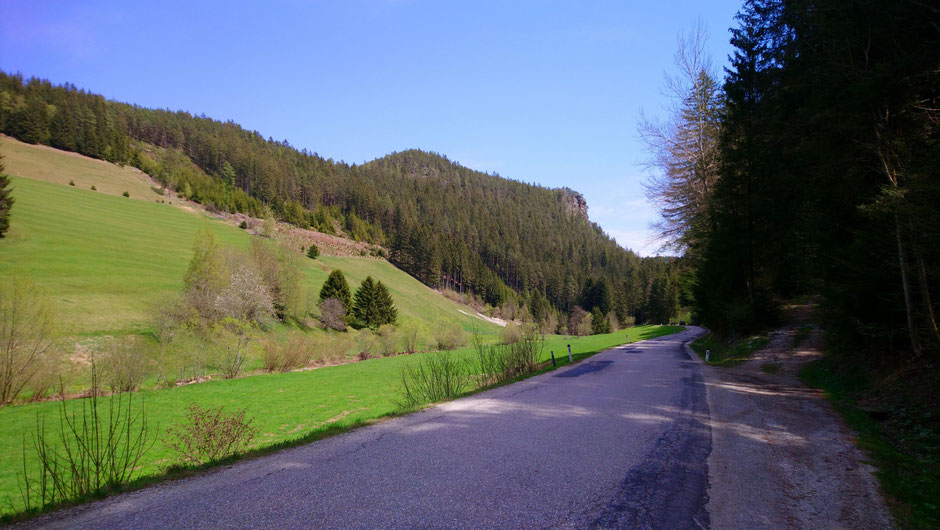 Schindergrabenstraße, Wiesen und Wälder