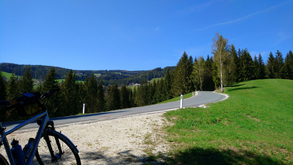 Wälder und Wiesen, Straße zur Bergbausiedlung in St. Kathrein am Hauenstein