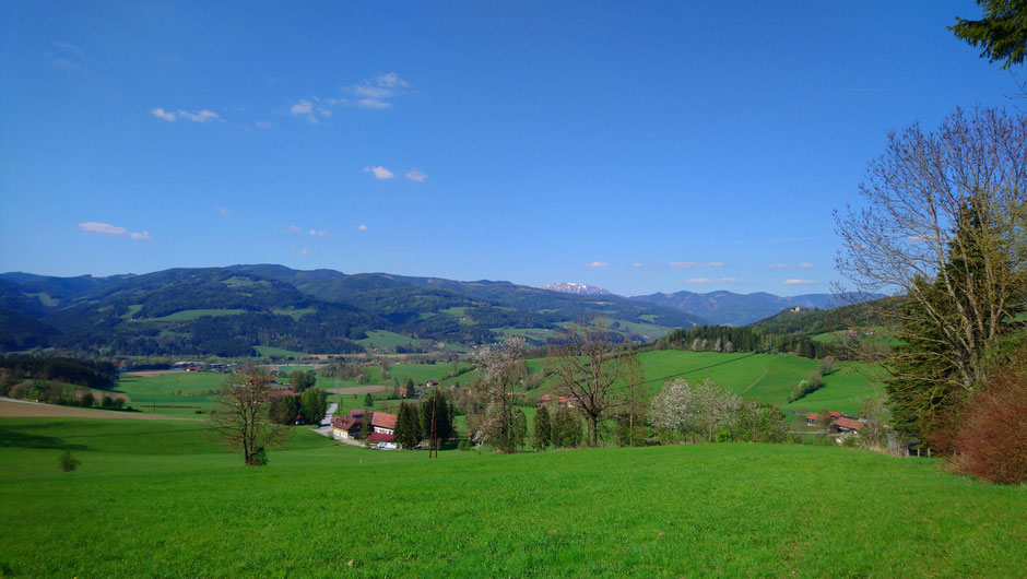 Mürztal, Schwöbing, Wiesen und Wälder, Rax