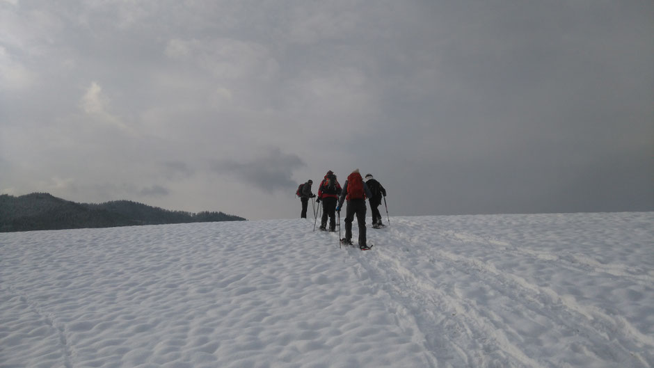 Schneeschuhwandergruppe auf dem "Christtagsfreudeweg" (nach einer Erzählung von Peter Rosegger)