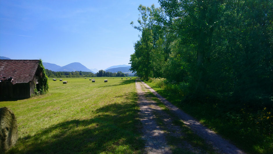 Ennstalradweg R7, Wiesen, Ennstal