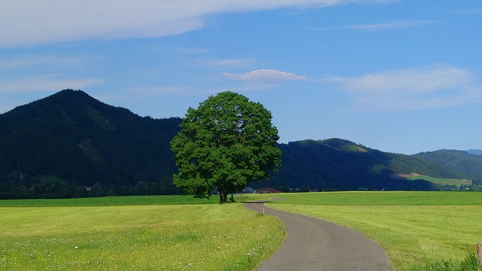 Rastlandradweg R15, Liesingtal, EV14, Kammern