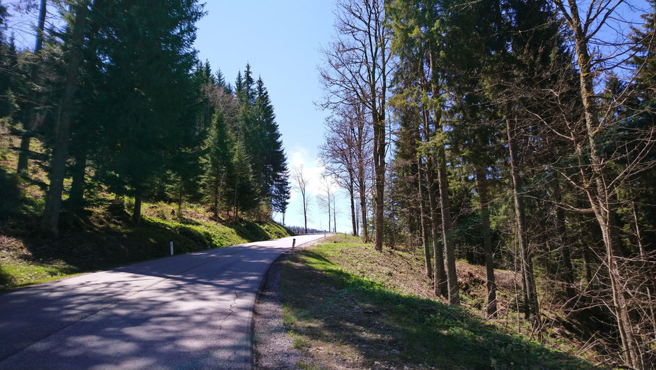 Schanzsattelstraße, Wald, Passstraße