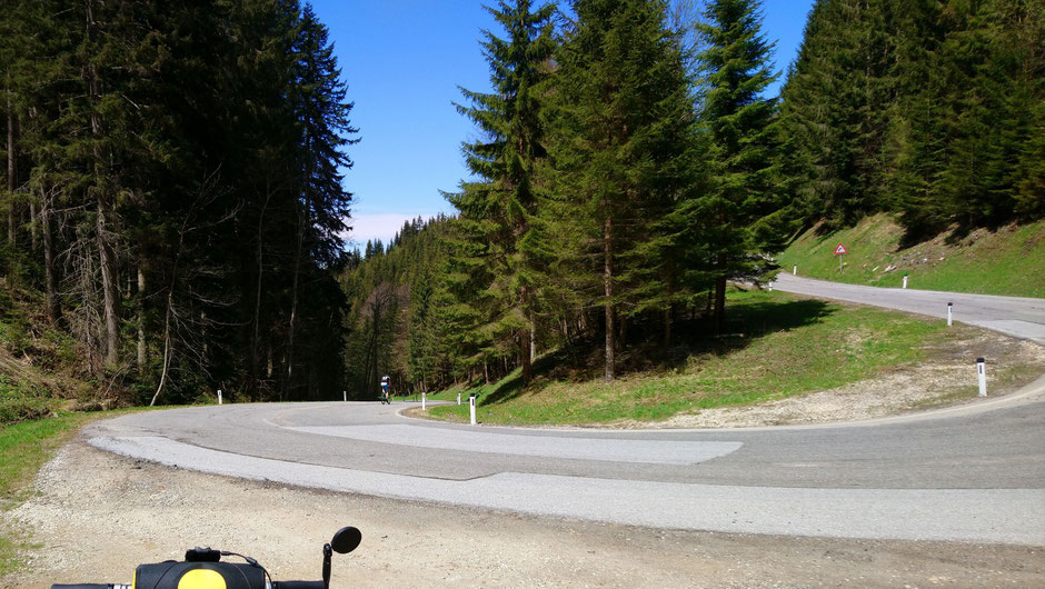 Schanzsattelstraße, Wald, Berge, Radfahrer, Passstraße