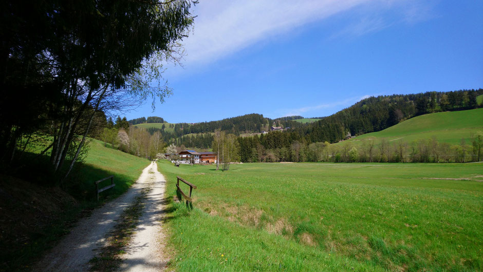 Feistritztalradweg, R8, Wiesen und Wälder