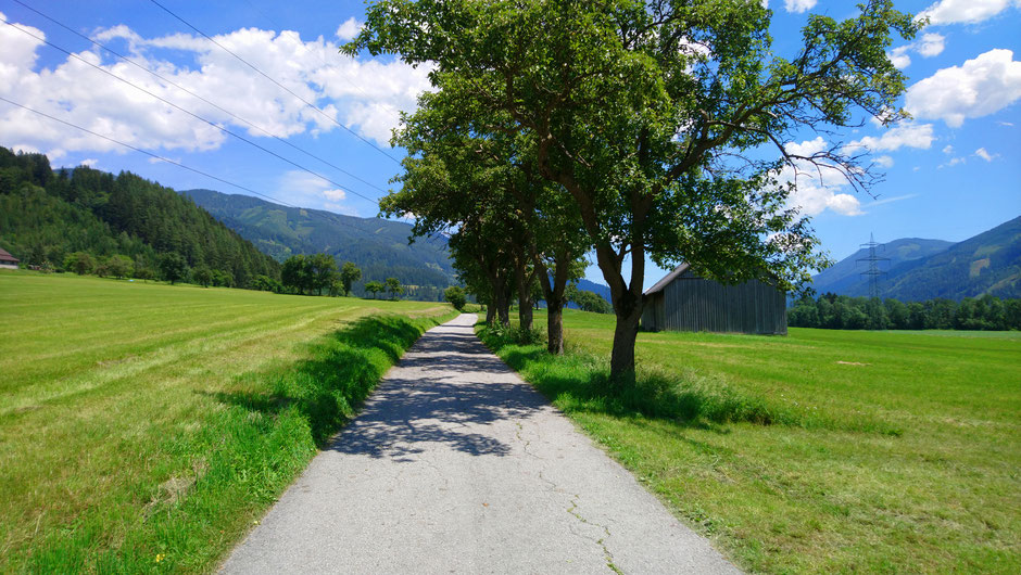Rastlandradweg R15, Paltental, EV14