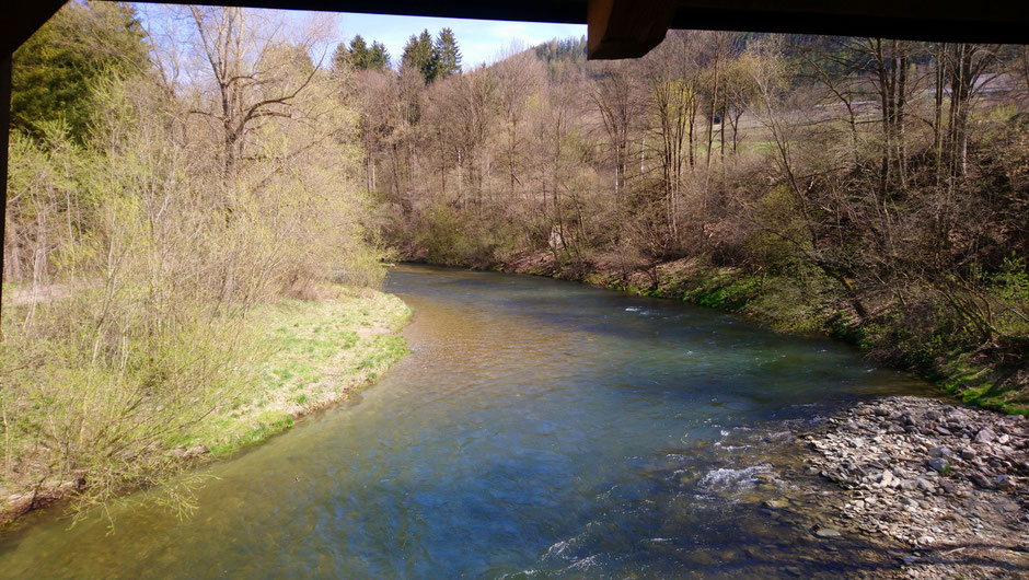 Mürz, Fluß, Wasser, Brücke