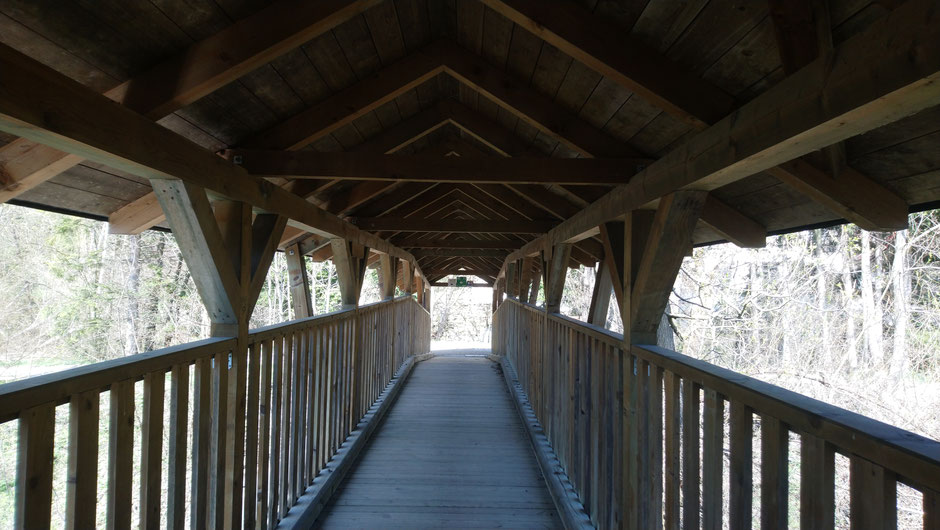 Brücke, Kindberg, Mürztalradweg, R5, Mürz