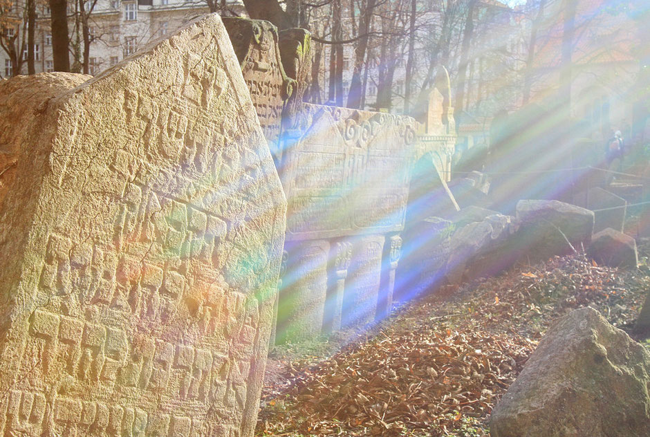 Ancien cimetière juif. Prague.