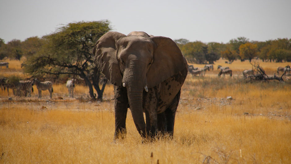 Namibia Rundreise