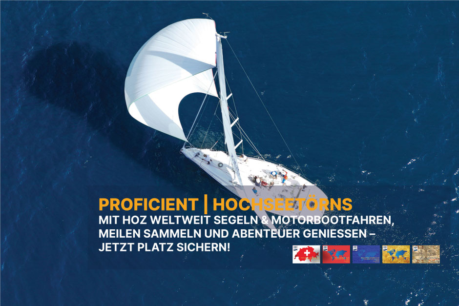 Delphine begleiten uns neugierig – HOZ Skipperkurse für Profis, praxisnahes Training im Mittelmeer und weltweit.