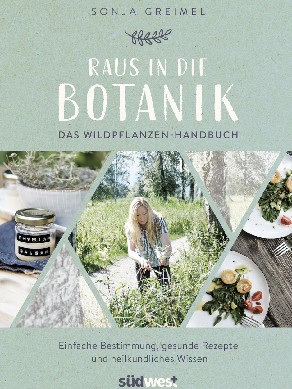 RAUS IN DIE BOTANIK SÜDWESTVERLAG REZENSION