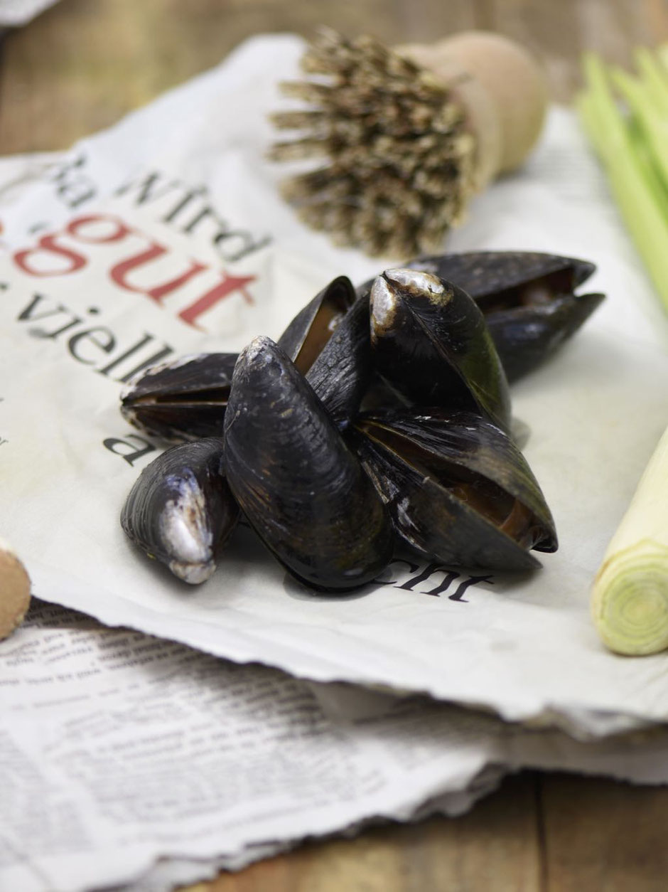 MOULES FRITES