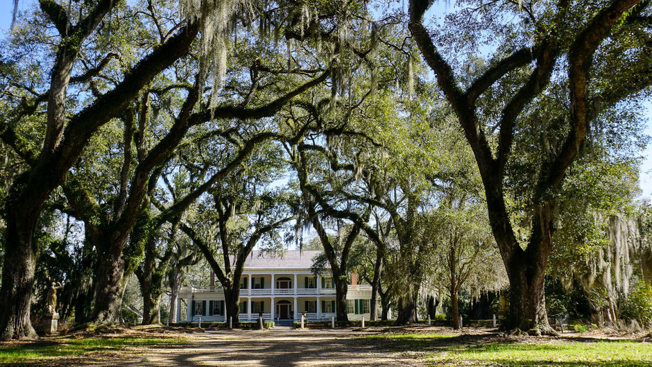 THE photo de la Louisiane