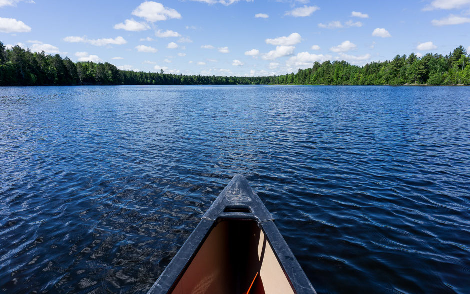 3 activités pour profiter du Parc National De Kouchibouguac (en été