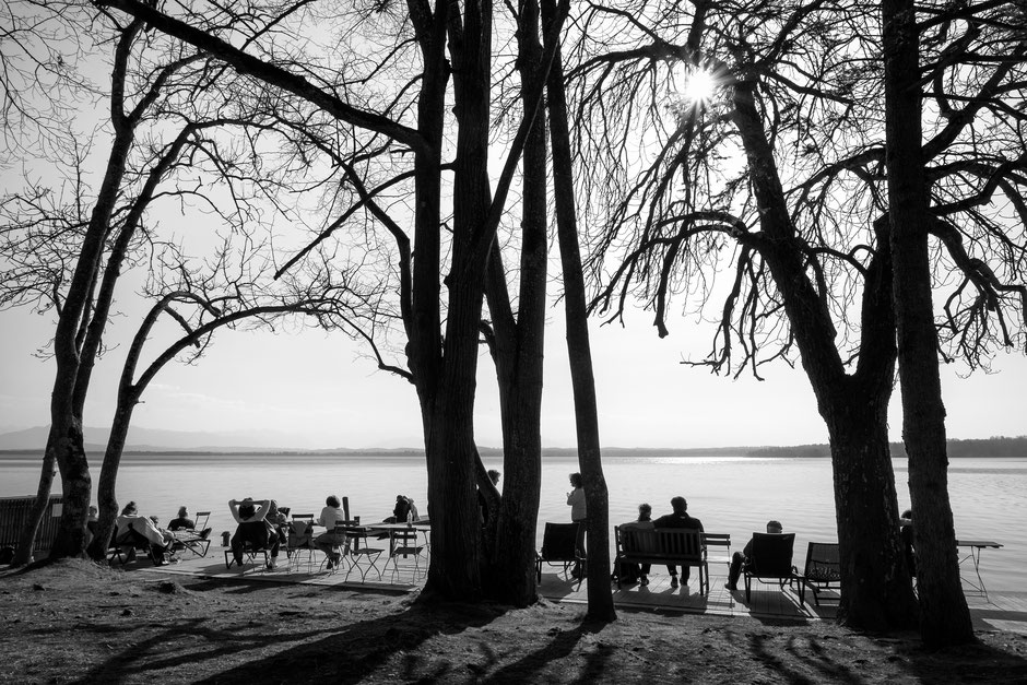 Black & White, Schwarz-Weiß, erste wärmende Sonnenstrahlen am Ostufer des Starnberger Sees, Dr. Ralph Oehlmann, Oehlmann-Photography