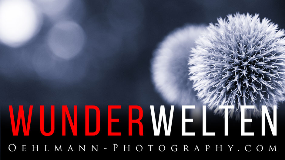 Banner, Online Ausstellung, Wunderwelten, Dr. Ralph Oehlmann, Oehlmann-Photography