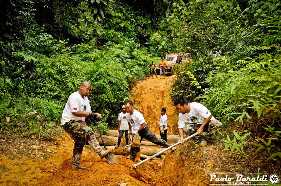rainforest challenge