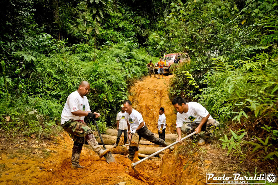 rainforest challenge